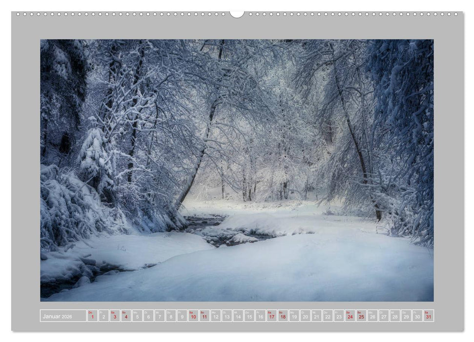 Wald im Licht (CALVENDO Premium Wandkalender 2026)