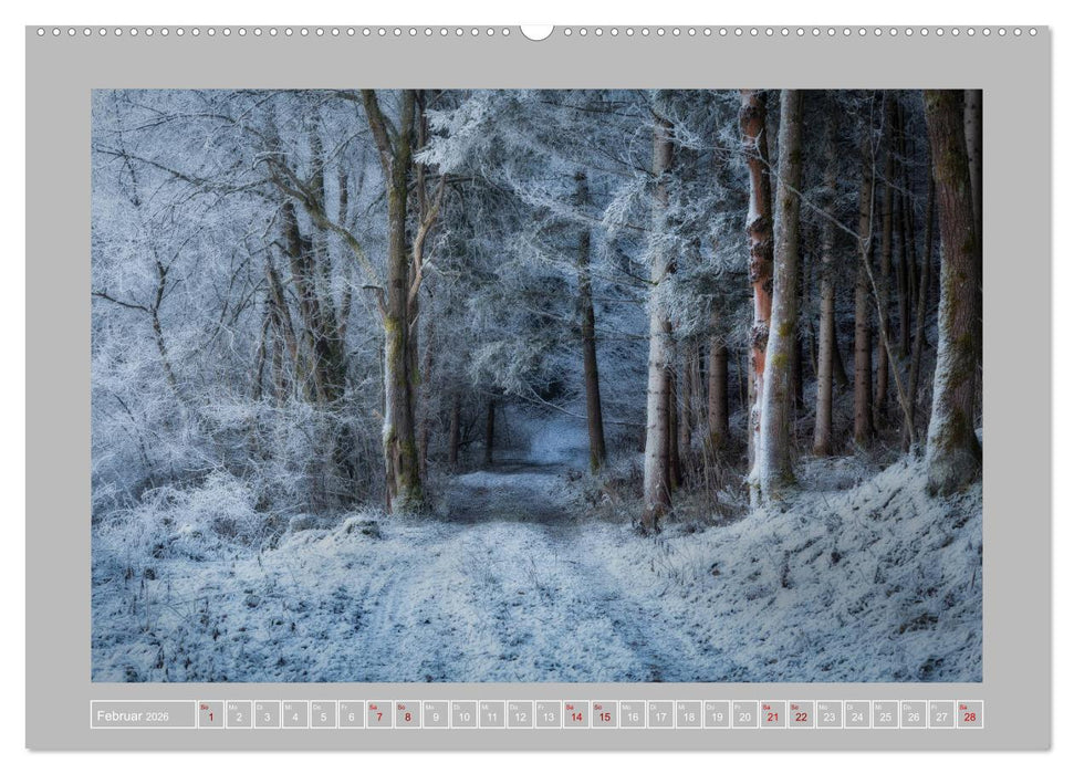 Wald im Licht (CALVENDO Premium Wandkalender 2026)