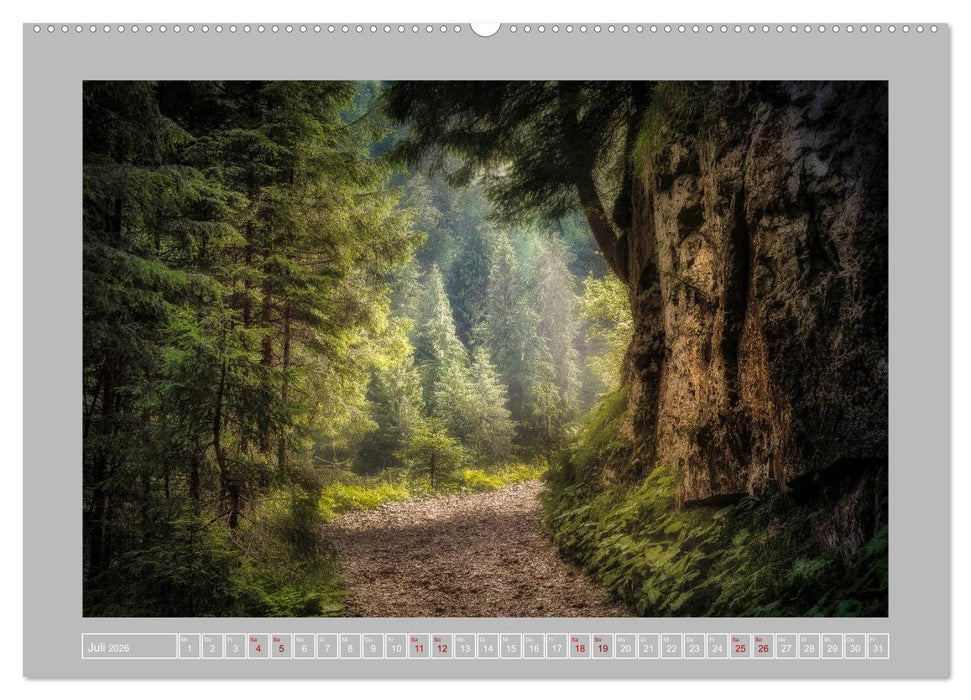 Wald im Licht (CALVENDO Premium Wandkalender 2026)