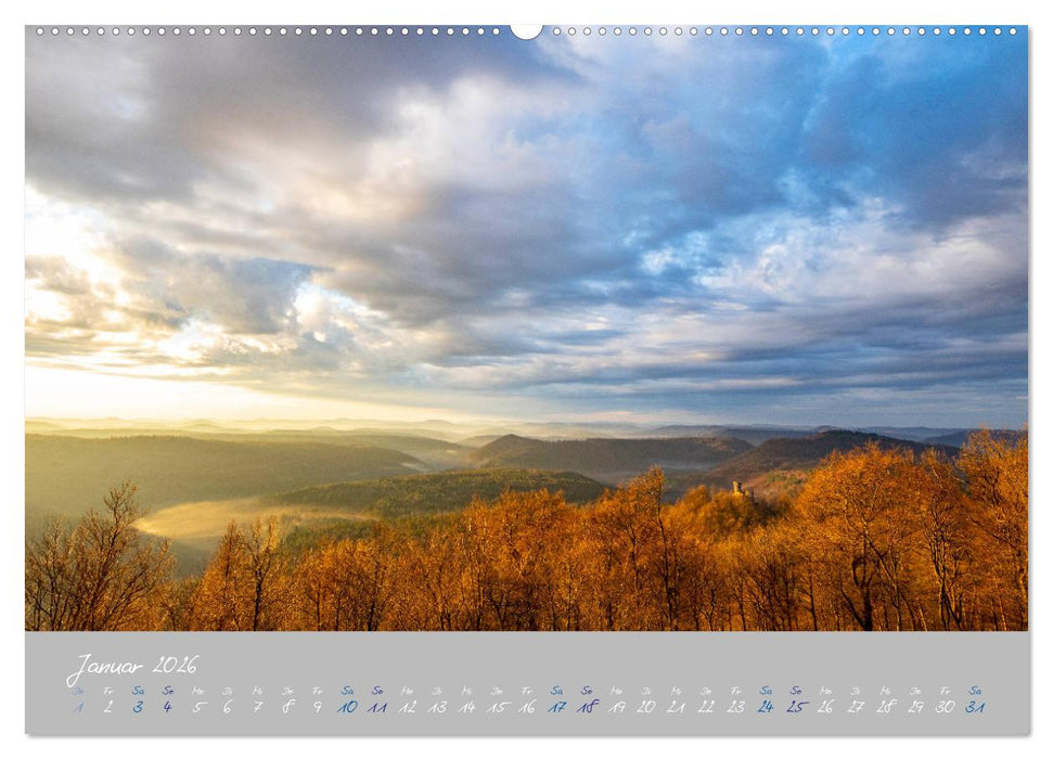 Ausflüge in der Heimat - Die Pfalz (CALVENDO Wandkalender 2026)