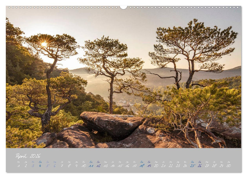 Ausflüge in der Heimat - Die Pfalz (CALVENDO Wandkalender 2026)