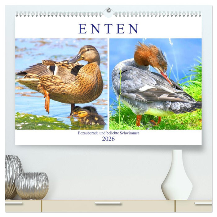 Enten. Bezaubernde und beliebte Schwimmer (CALVENDO Premium Wandkalender 2026)