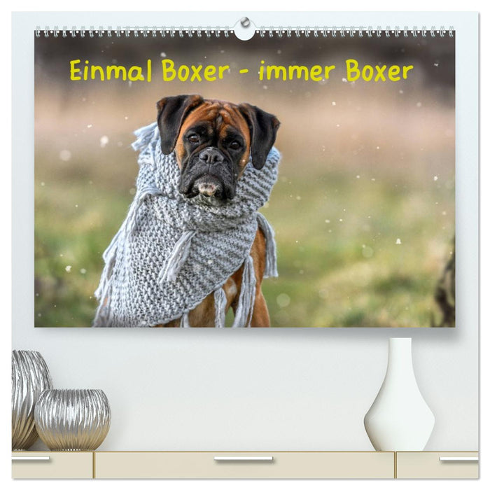 Einmal Boxer - immer Boxer (CALVENDO Premium Wandkalender 2026)