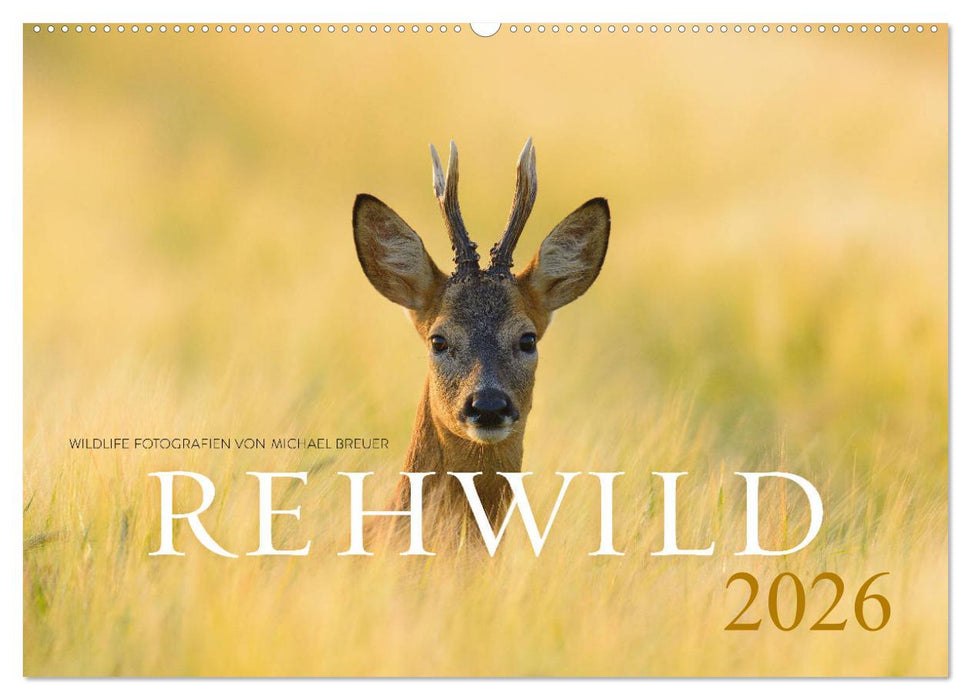Rehwild 2026 (CALVENDO Wandkalender 2026)