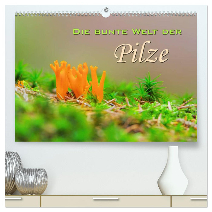 Die bunte Welt der Pilze (CALVENDO Premium Wandkalender 2026)