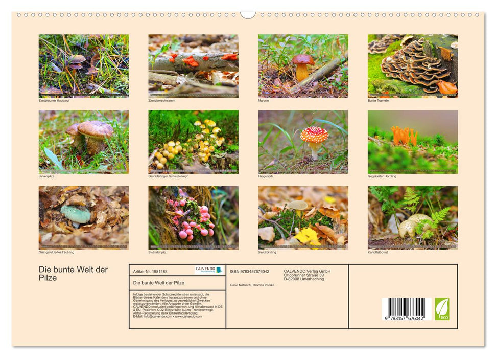 Die bunte Welt der Pilze (CALVENDO Premium Wandkalender 2026)
