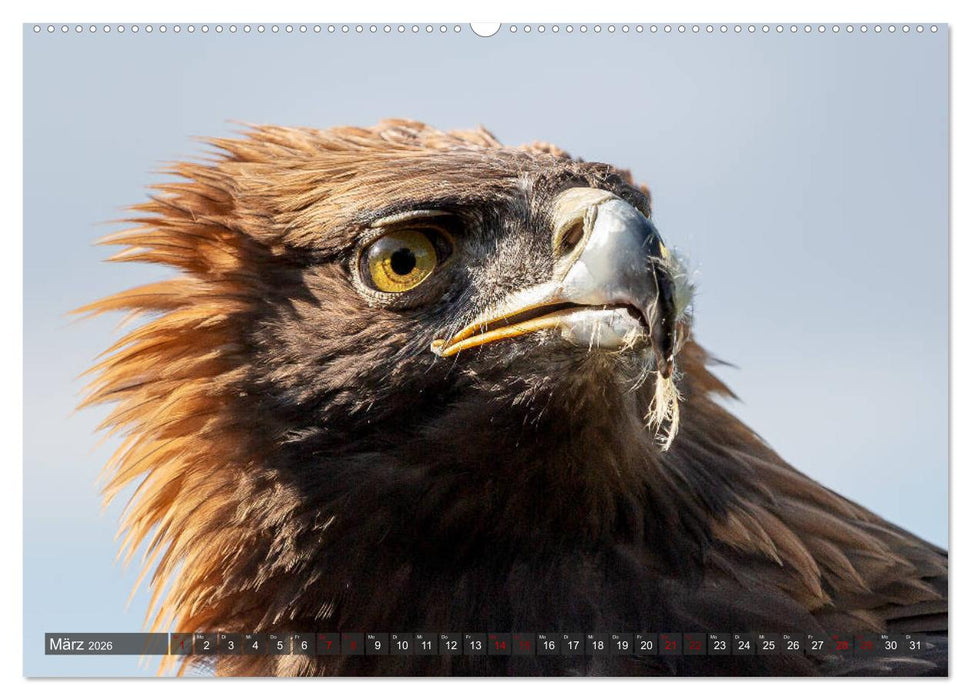 Kasachstan und Kirgistan (CALVENDO Premium Wandkalender 2026)