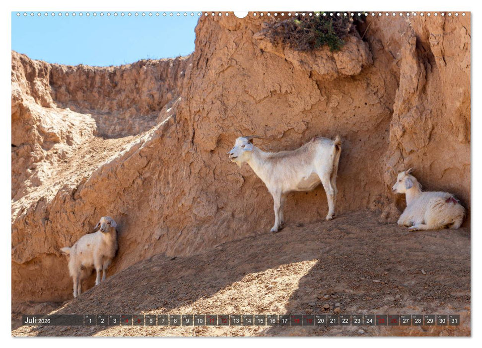 Kasachstan und Kirgistan (CALVENDO Premium Wandkalender 2026)