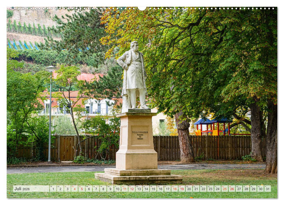 Bad Kreuznach Impressionen (CALVENDO Premium Wandkalender 2026)