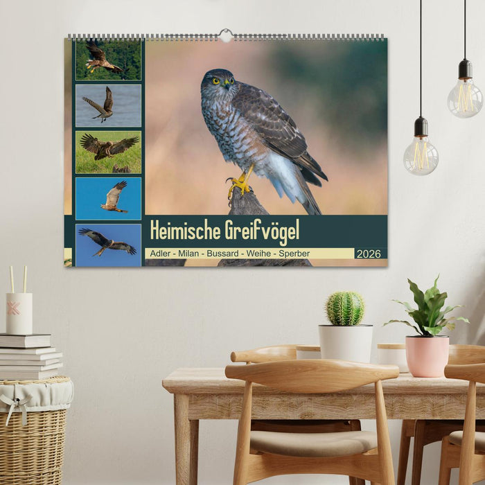 Heimische GREIFVÖGEL Adler Milan Bussard Weihe Sperber (CALVENDO Wandkalender 2026)