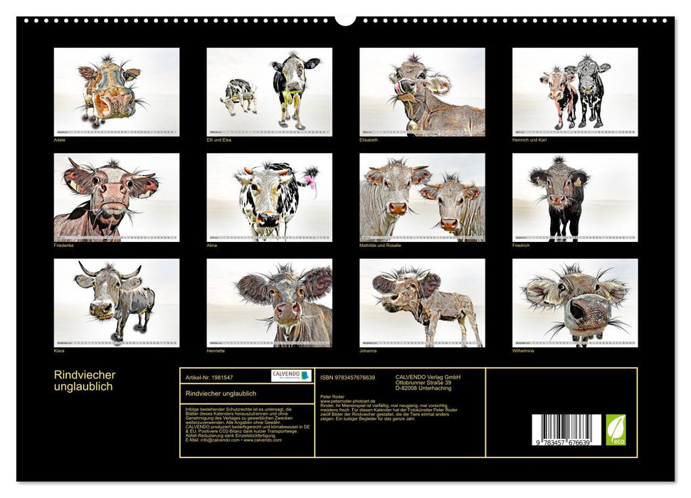 Rindviecher unglaublich (CALVENDO Premium Wandkalender 2026)