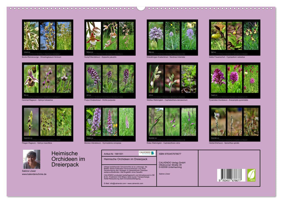 Heimische Orchideen im Dreierpack (CALVENDO Premium Wandkalender 2026)