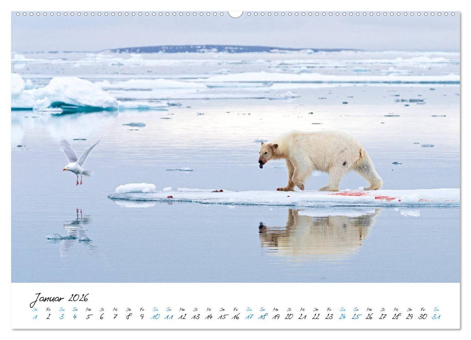 78° Nord - Arktische Momente in Svalbard (CALVENDO Premium Wandkalender 2026)