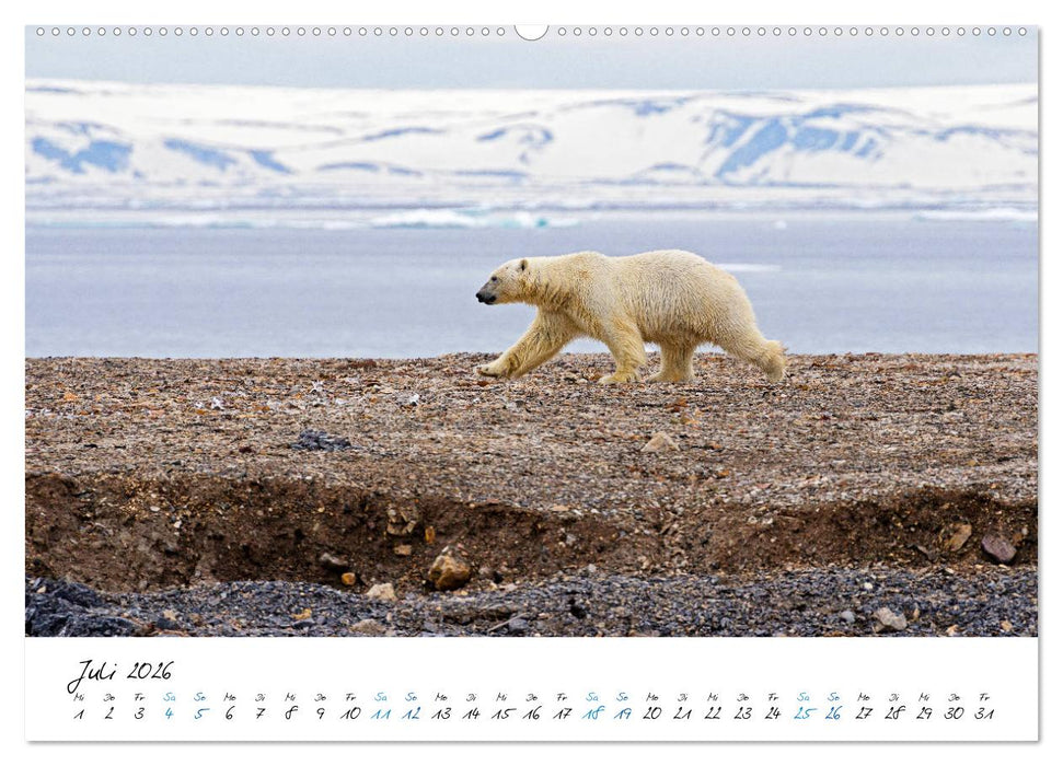 78° Nord - Arktische Momente in Svalbard (CALVENDO Premium Wandkalender 2026)