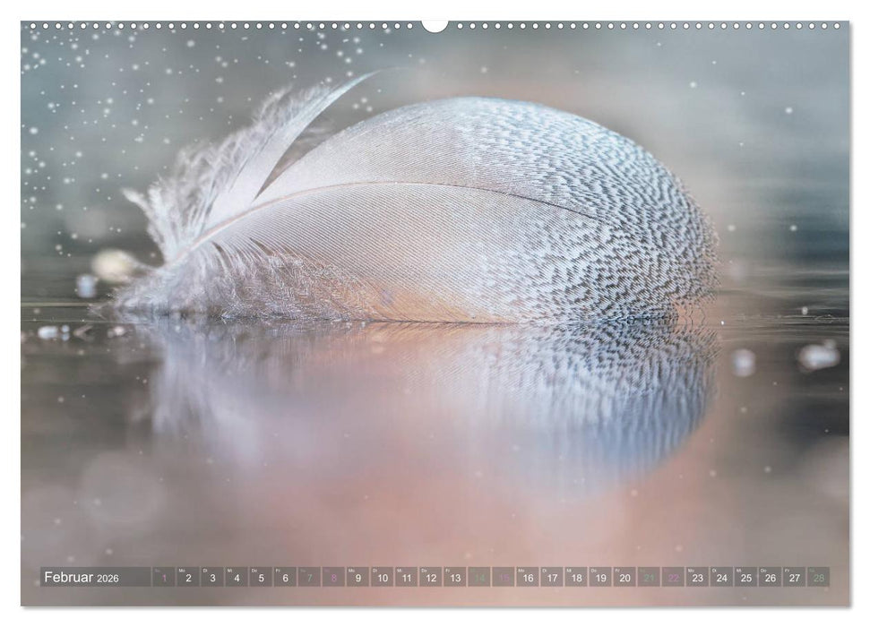 AUGENBLICK ZAUBER (CALVENDO Wandkalender 2026)