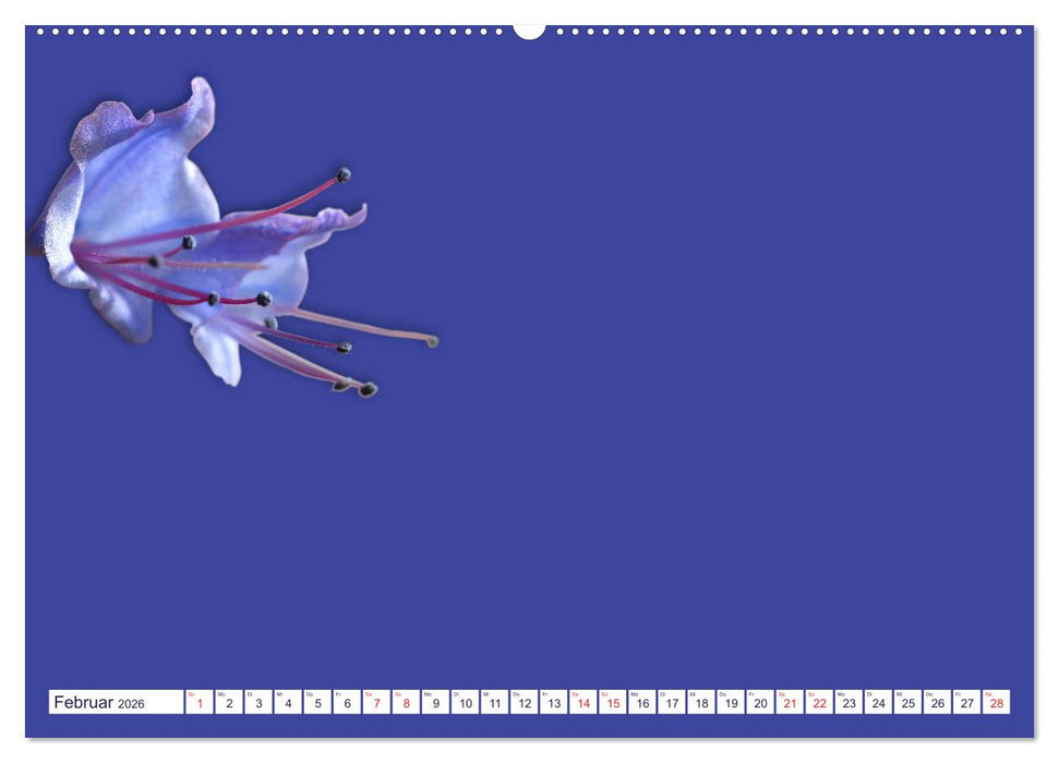 DIY POESIE - BASTELKALENDER (CALVENDO Premium Wandkalender 2026)