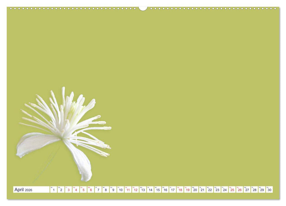 DIY POESIE - BASTELKALENDER (CALVENDO Premium Wandkalender 2026)