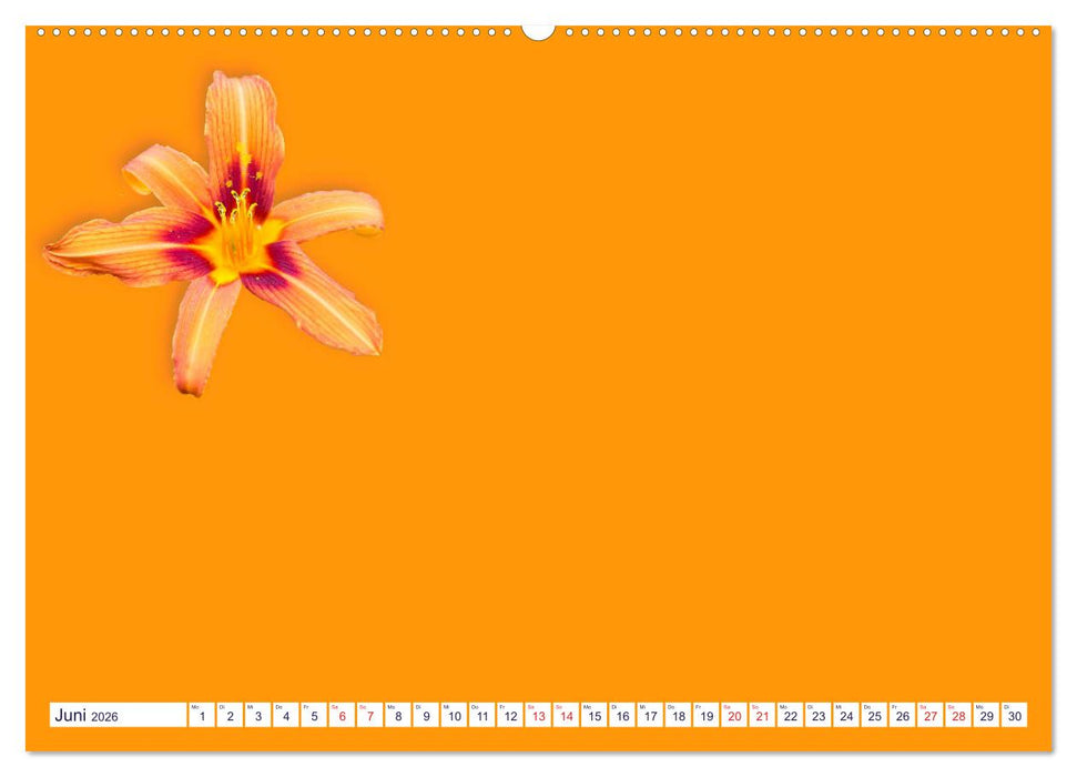 DIY POESIE - BASTELKALENDER (CALVENDO Premium Wandkalender 2026)