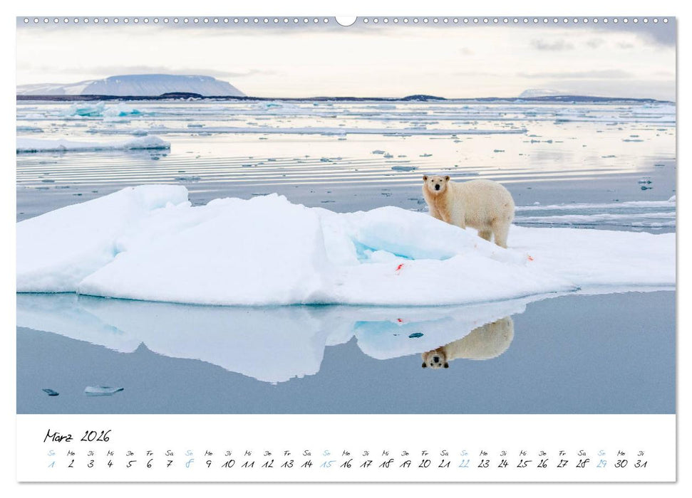 Heike Odermatt: 80° Nord - Fotografien von Spitzbergen und Nordaustland (CALVENDO Premium Wandkalender 2026)