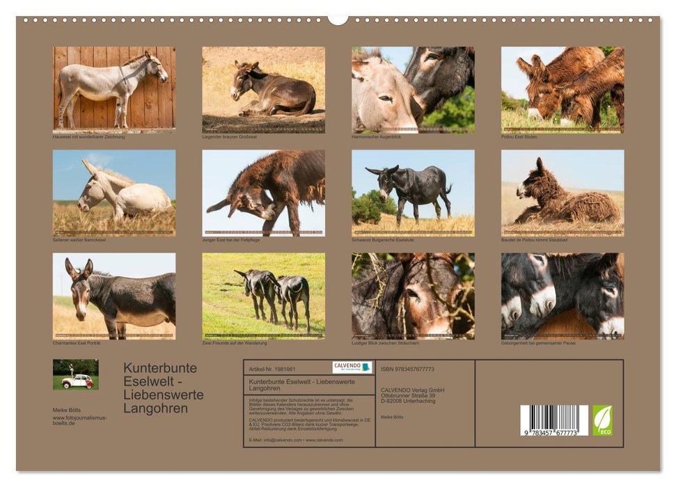Kunterbunte Eselwelt - Liebenswerte Langohren (CALVENDO Premium Wandkalender 2026)