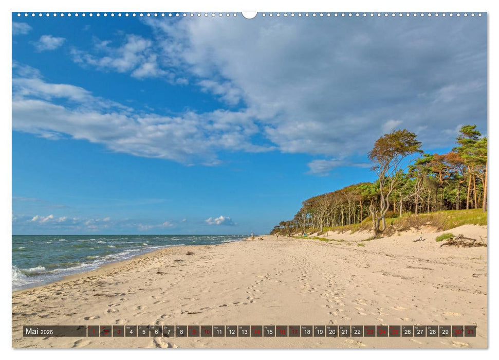 Impressionen von der Ostsee Fischland-Darß-Zingst (CALVENDO Premium Wandkalender 2026)