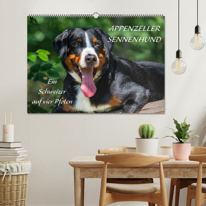 Appenzeller Sennenhund - Ein Schweizer auf 4 Pfoten (CALVENDO Wandkalender 2026)