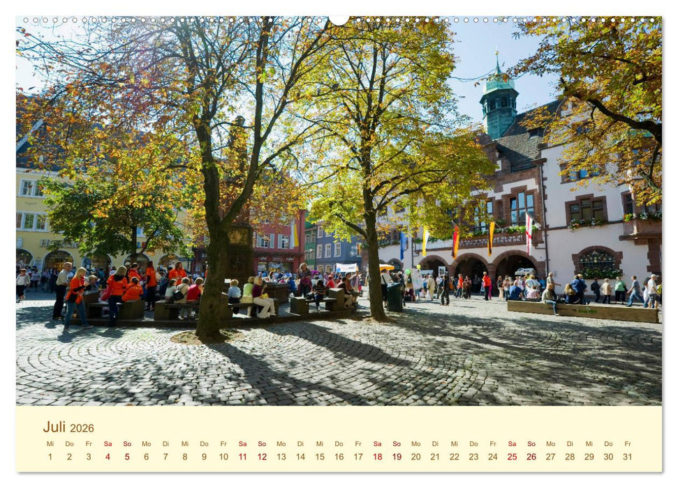 Freiburg Perle im Breisgau (CALVENDO Premium Wandkalender 2026)