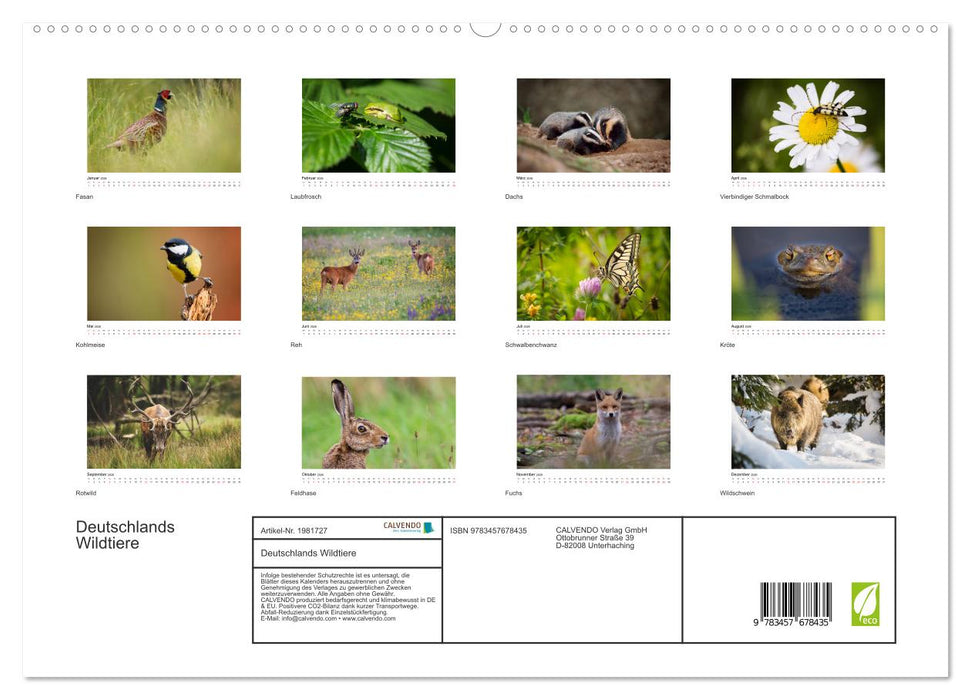 Deutschlands Wildtiere (CALVENDO Premium Wandkalender 2026)