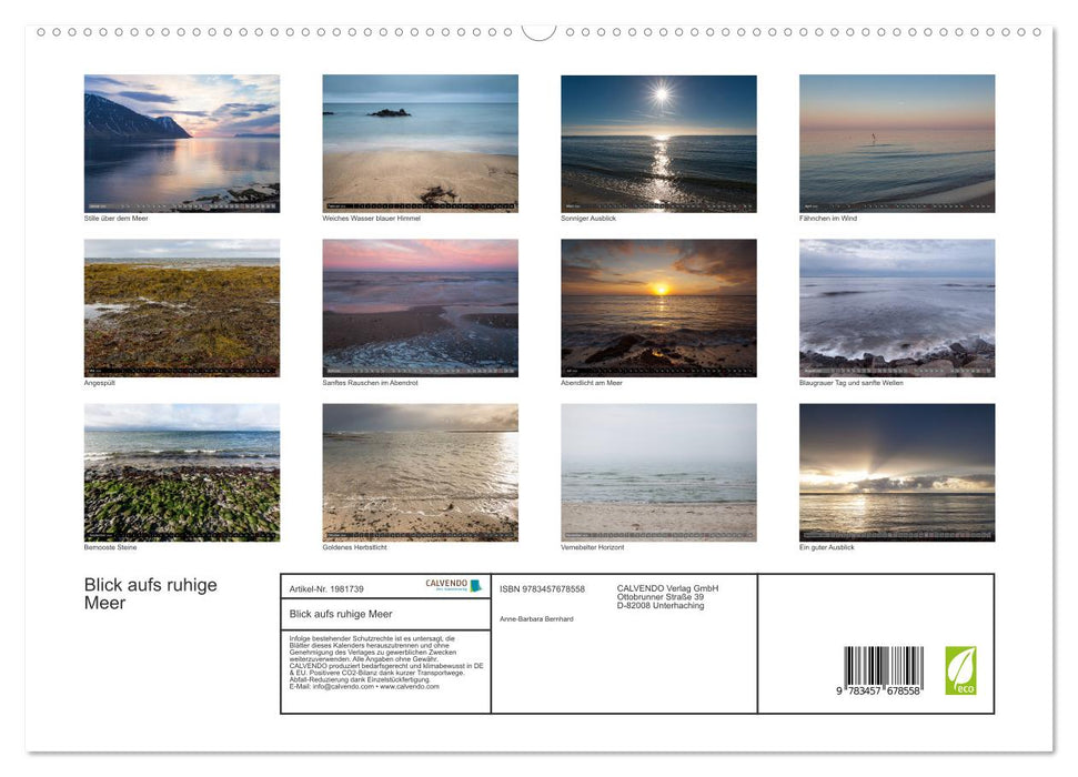 Blick aufs ruhige Meer (CALVENDO Premium Wandkalender 2026)