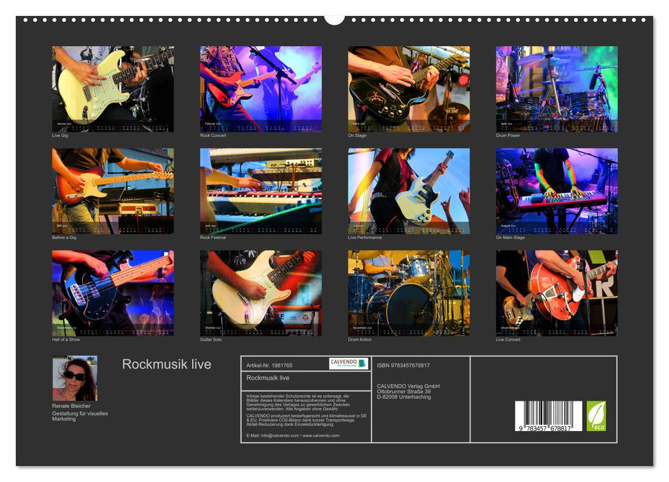 Rockmusik live (CALVENDO Premium Wandkalender 2026)
