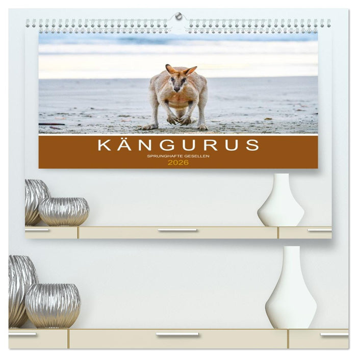 Kängurus, sprunghafte Gesellen (CALVENDO Premium Wandkalender 2026)