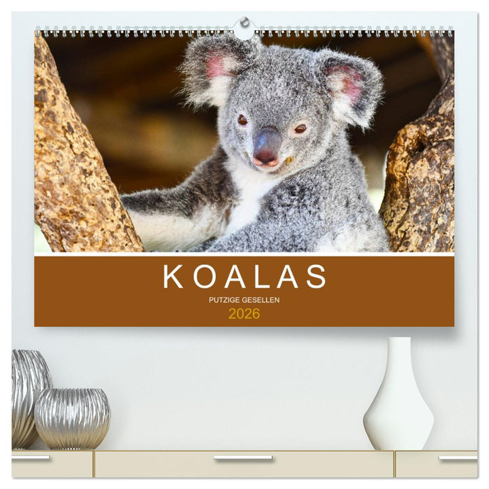 Koalas, putzige Gesellen (CALVENDO Premium Wandkalender 2026)