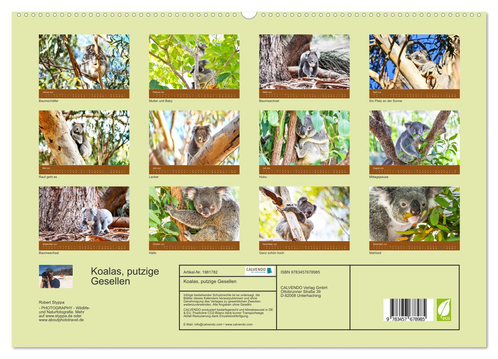 Koalas, putzige Gesellen (CALVENDO Premium Wandkalender 2026)