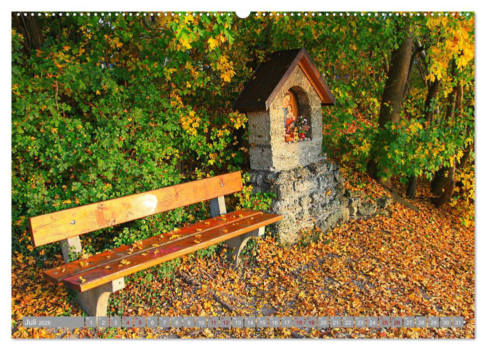 Mein Ammersee - am Ostufer entlang (CALVENDO Premium Wandkalender 2026)