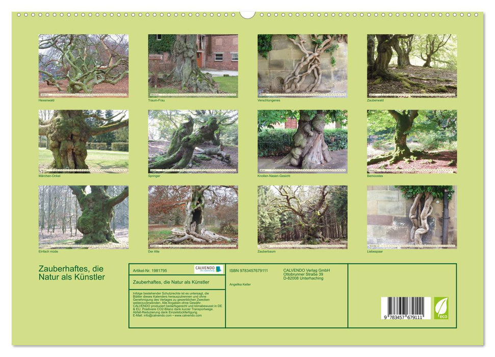 Zauberhaftes, die Natur als Künstler (CALVENDO Premium Wandkalender 2026)