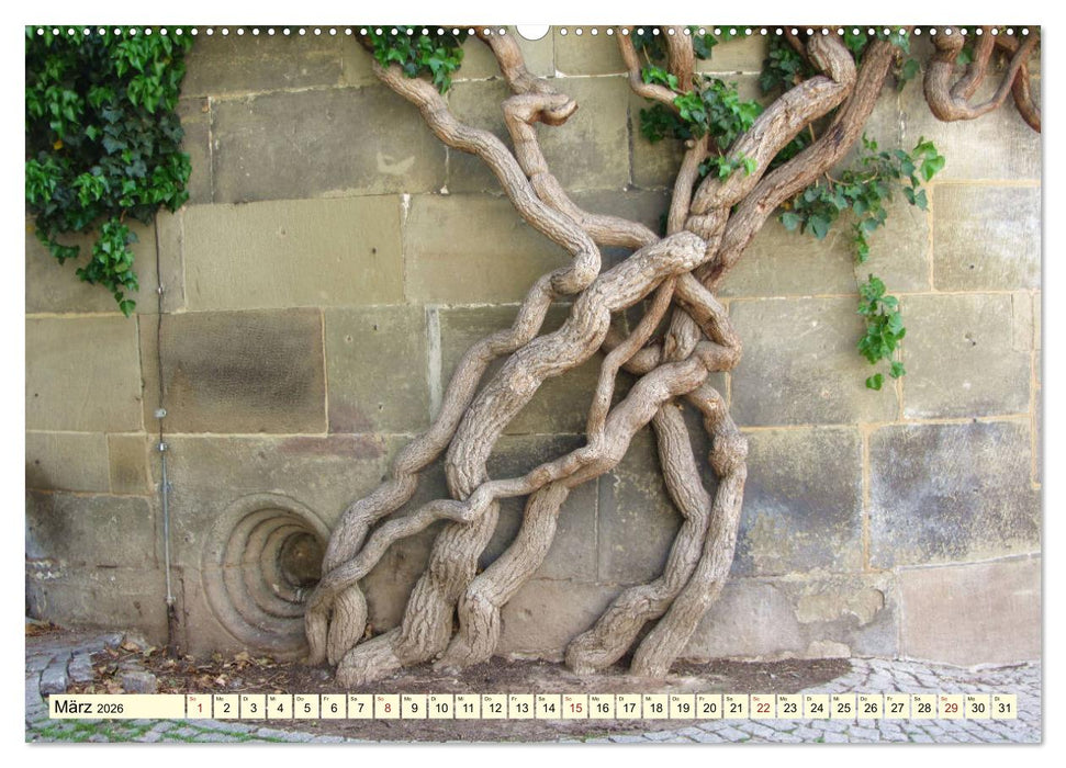 Zauberhaftes, die Natur als Künstler (CALVENDO Premium Wandkalender 2026)