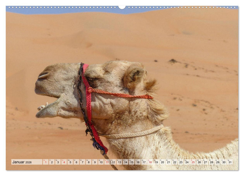 Oman - Zauberhafte Landschaften (CALVENDO Premium Wandkalender 2026)