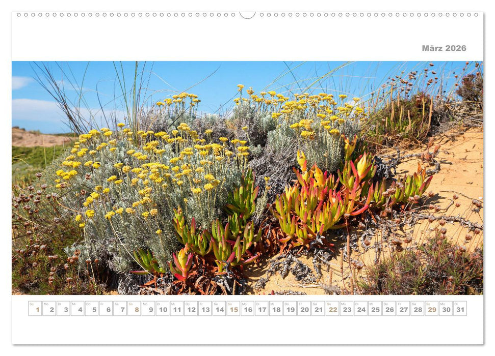 Portugal - Traumküste Costa Vicentina und Lagos (CALVENDO Premium Wandkalender 2026)