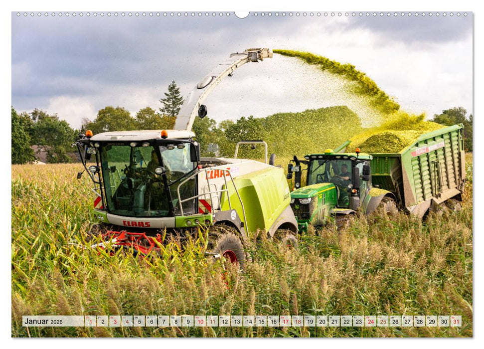 Maisernte am Deich (CALVENDO Premium Wandkalender 2026)