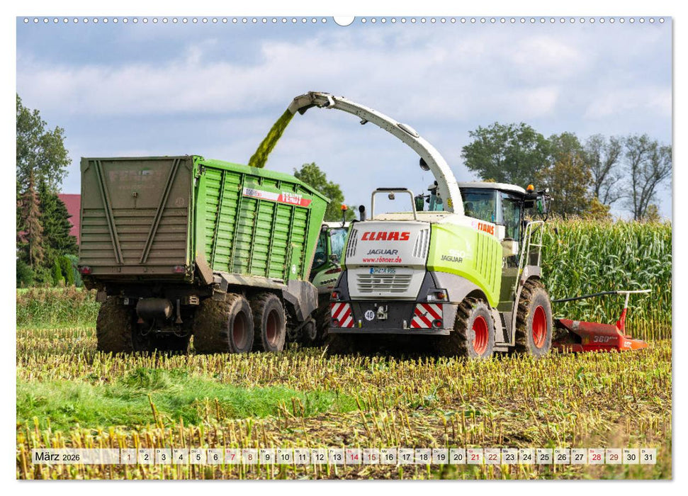 Maisernte am Deich (CALVENDO Premium Wandkalender 2026)
