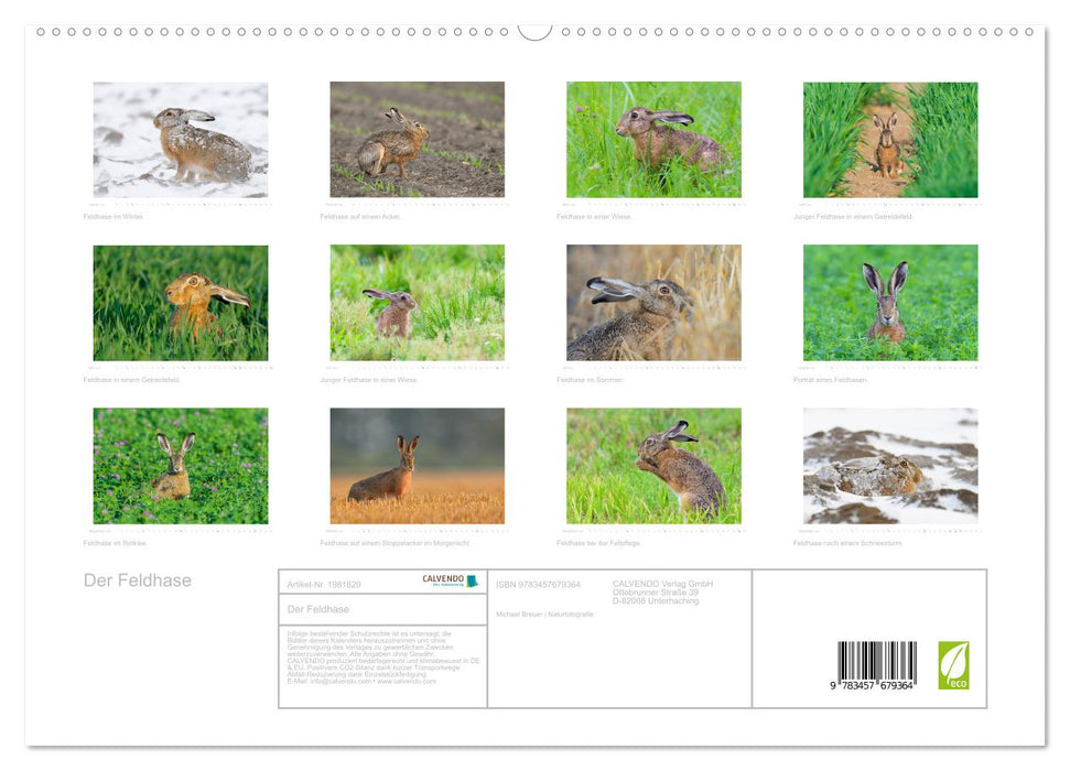 Der Feldhase (CALVENDO Premium Wandkalender 2026)