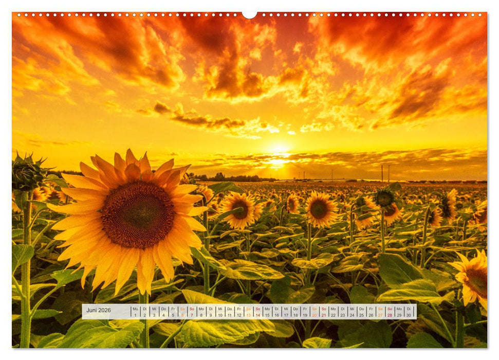 Schönes Magdeburg (CALVENDO Premium Wandkalender 2026)