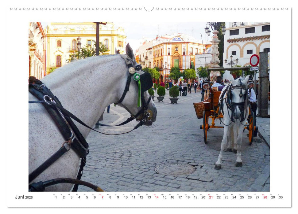 Sevilla Eine Stadt zum Träumen (CALVENDO Wandkalender 2026)