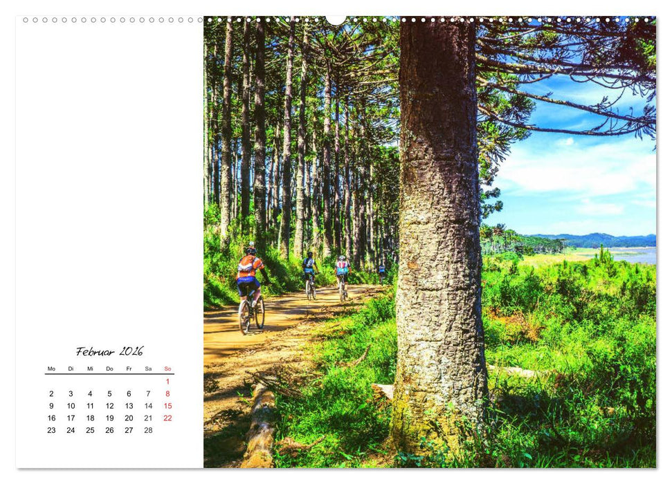Fahrradtour. Radle dich frei und gesund! (CALVENDO Wandkalender 2026)