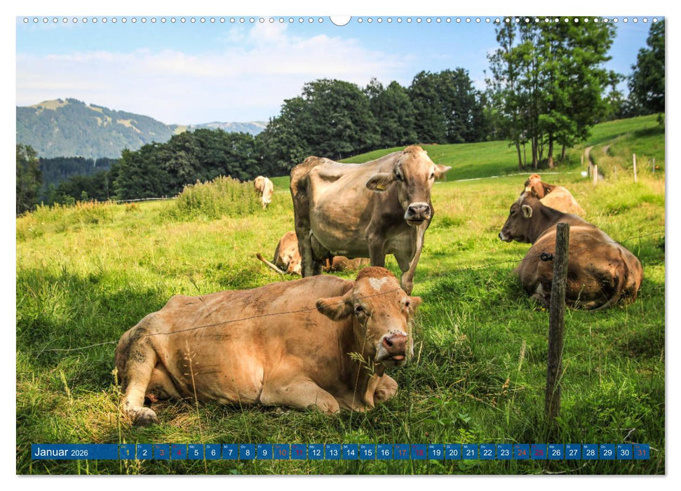Allgäu - Perle im Süden (CALVENDO Premium Wandkalender 2026)