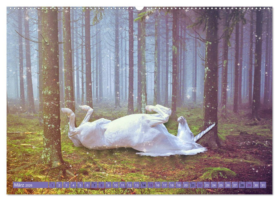 Einhorn Welt - verträumte Einhornbilder (CALVENDO Premium Wandkalender 2026)