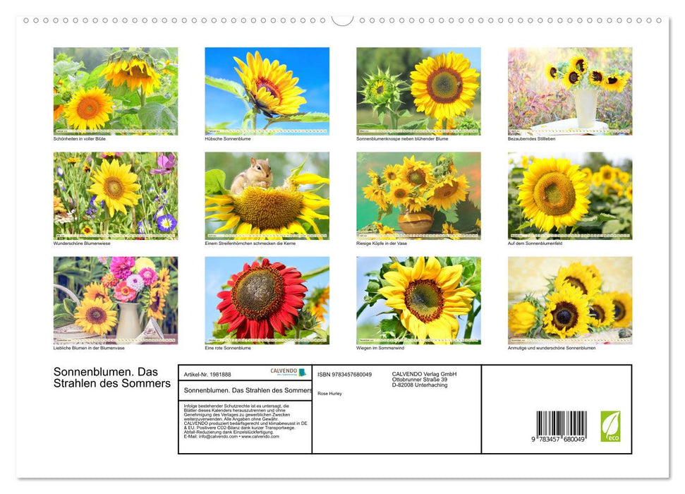 Sonnenblumen. Das Strahlen des Sommers (CALVENDO Premium Wandkalender 2026)