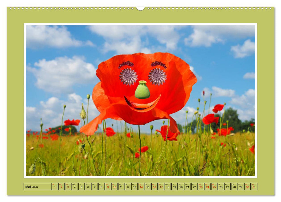 Lächeln in Landschaften (CALVENDO Wandkalender 2026)