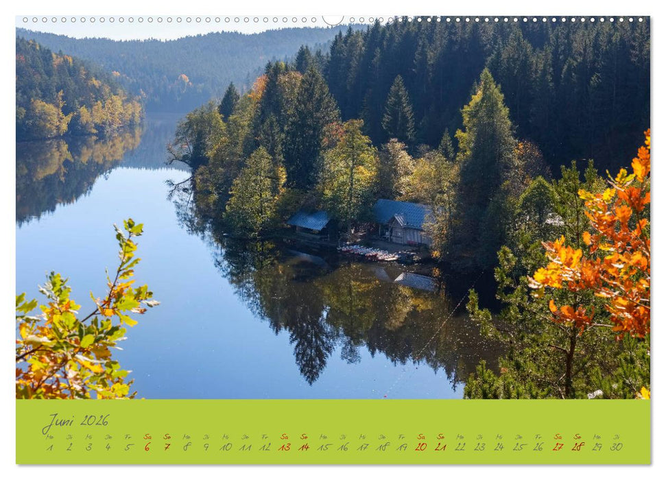 Der Bayerische Wald (CALVENDO Premium Wandkalender 2026)