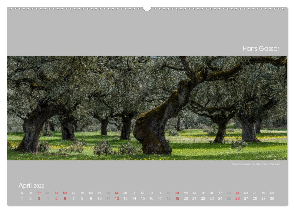 GROSSARTIGE LANDSCHAFTEN 2026 (CALVENDO Premium Wandkalender 2026)